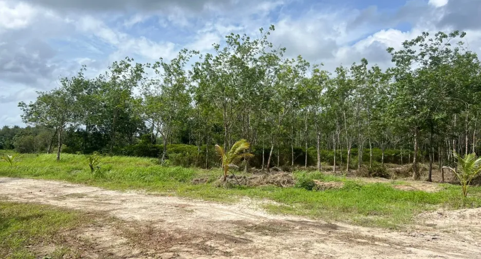 For sale land in Thai Mueang, Phang Nga