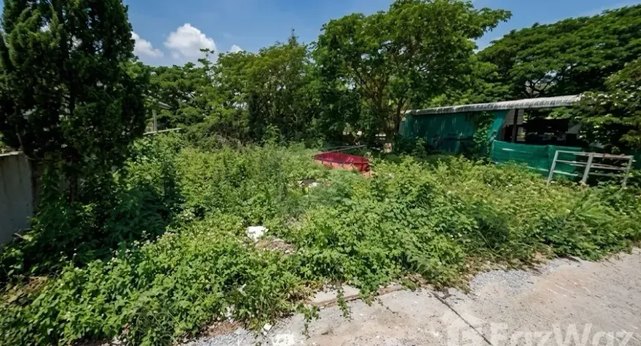 ขาย ที่ดิน ใน สารภี, เชียงใหม่