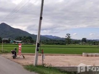 出售 土地 在 Mae Wang, Chiang Mai