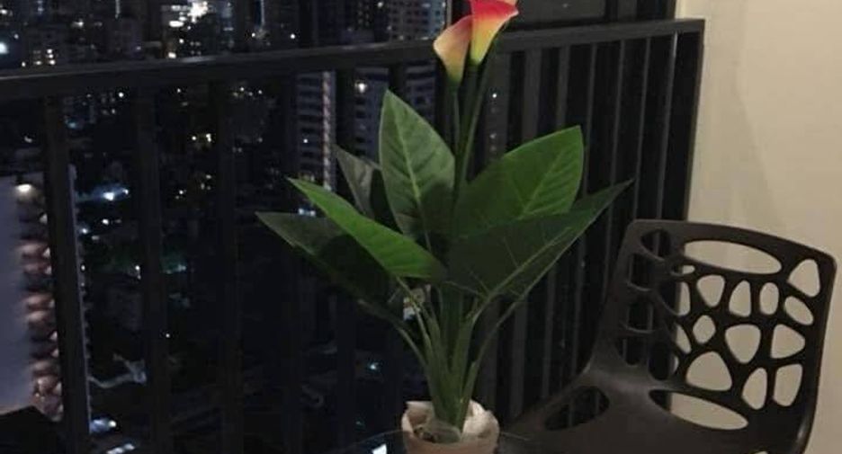 Condo en alquiler de 2 habitaciones en Khlong Toei, Bangkok