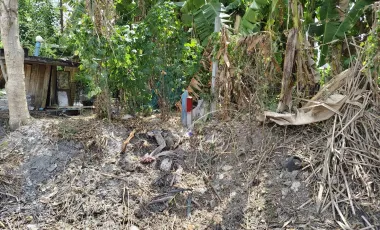Grundstück zum Kauf in Prawet, Bangkok