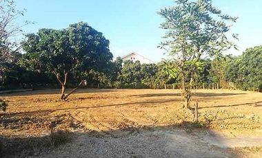 Grundstück zum Kauf in San Kamphaeng, Chiang Mai