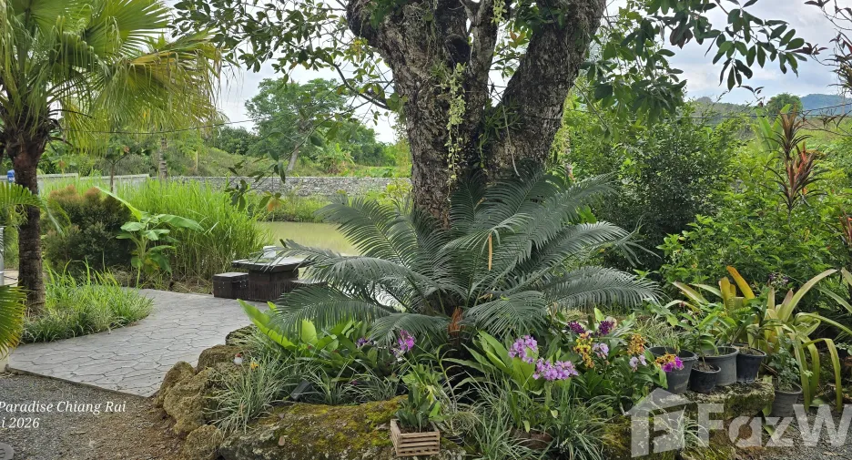 For sale 7 ベッドルーム hotel in Mueang Chiang Rai, Chiang Rai