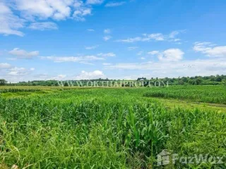 Продажа Участок в Bueng Sam Phan, Phetchabun