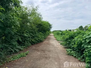 Terreno en venta en Thanyaburi, Pathum Thani