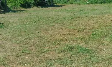 For sale land in Pran Buri, Prachuap Khiri Khan
