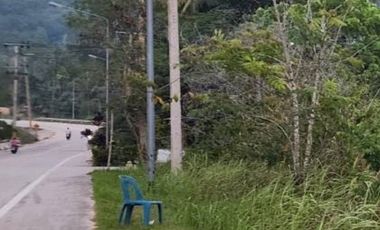 Grundstück zum Kauf in Ko Pha-ngan, Surat Thani