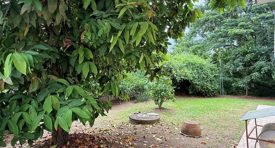 Haus zum Kauf mit 3 Zimmer in San Pa Tong, Chiang Mai