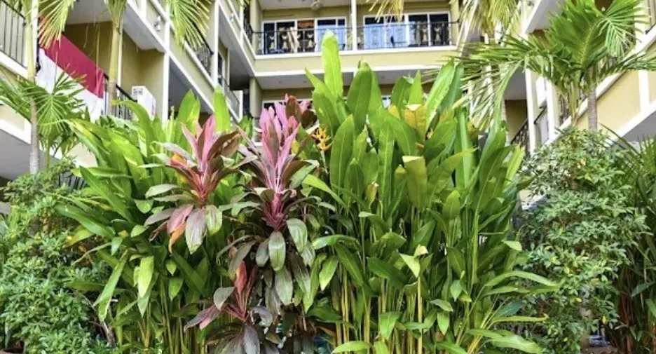 出租 1 卧室 公寓 在 Bang Lamung, Chon Buri