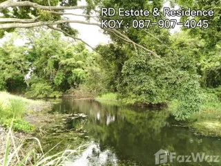 For sale land in Pak Chong, Nakhon Ratchasima