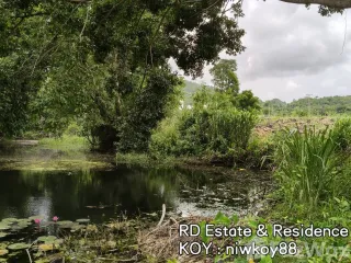 For sale land in Pak Chong, Nakhon Ratchasima