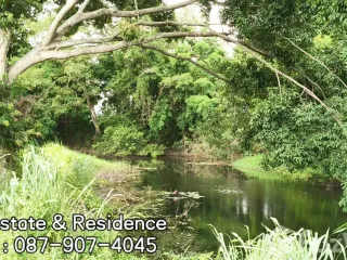 For sale land in Pak Chong, Nakhon Ratchasima