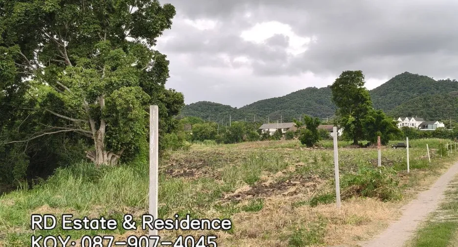 For sale land in Pak Chong, Nakhon Ratchasima