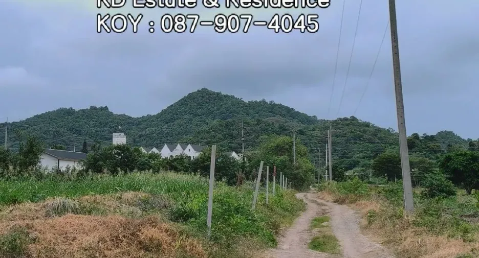 For sale land in Pak Chong, Nakhon Ratchasima