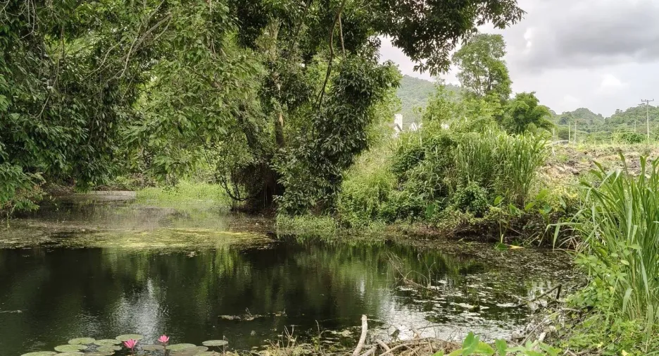 For sale land in Pak Chong, Nakhon Ratchasima
