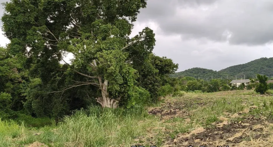 For sale land in Pak Chong, Nakhon Ratchasima