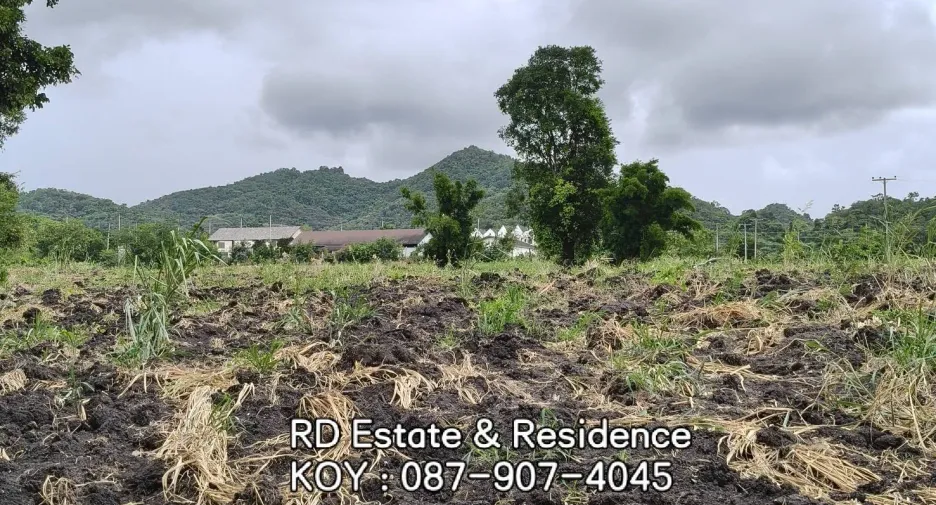 For sale land in Pak Chong, Nakhon Ratchasima