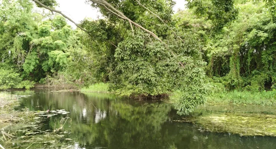 For sale land in Pak Chong, Nakhon Ratchasima