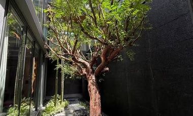 Haus zum Kauf mit 5 Zimmer in Bang Sue, Bangkok