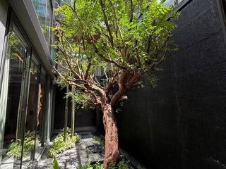 出售 5 卧室 独立屋 在 Bang Sue, 曼谷