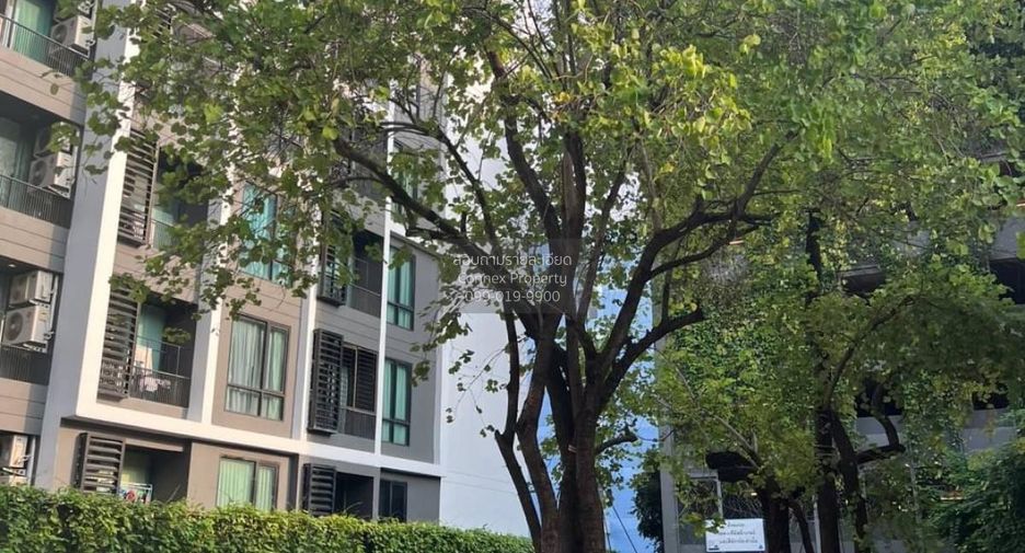 For rent 1 bed condo in Chatuchak, Bangkok