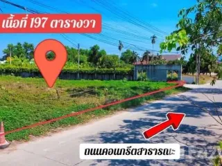 For sale land in Ban Khai, Rayong