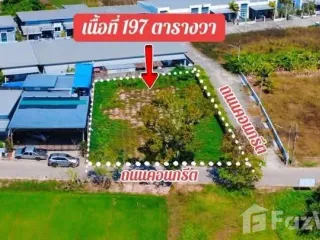 For sale land in Ban Khai, Rayong