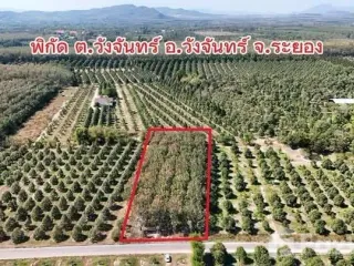 Продажа Участок в Wang Chan, Районг