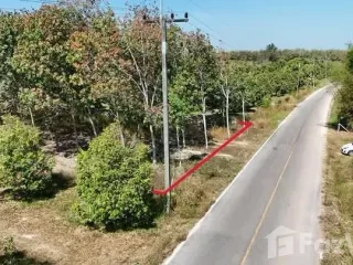 Продажа Участок в Wang Chan, Районг