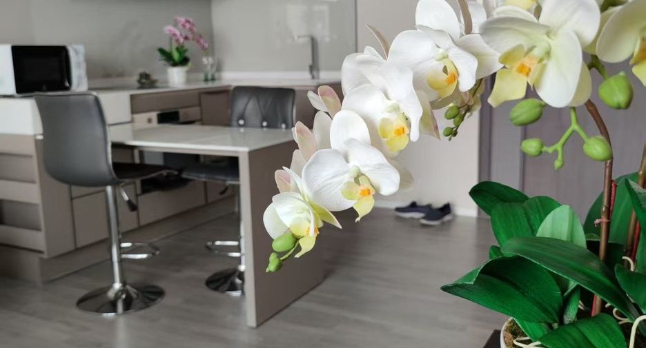 For rent 1 Beds condo in Bang Sue, Bangkok