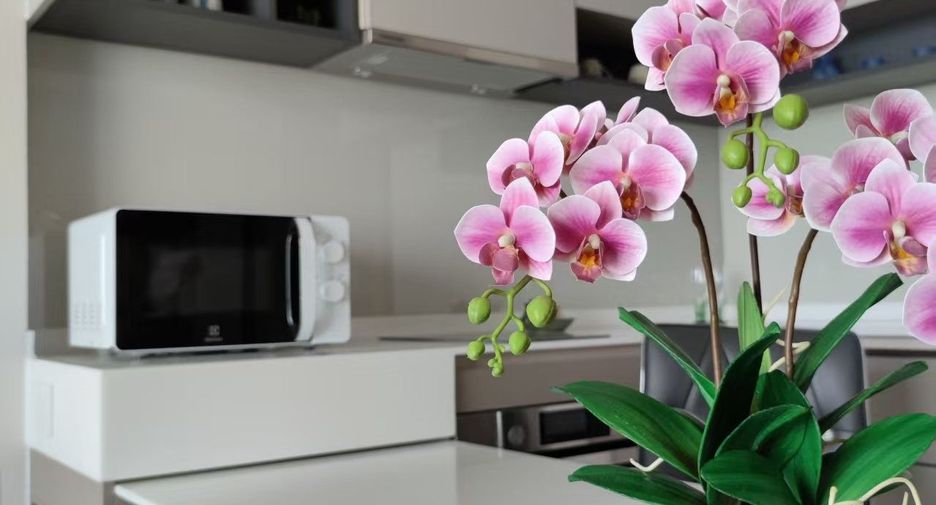 For rent 1 Beds condo in Bang Sue, Bangkok