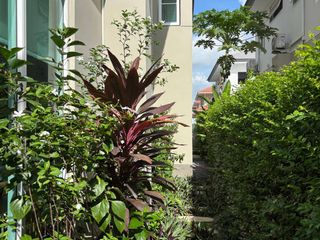 For rent 4 bedrooms house in Prawet, Bangkok