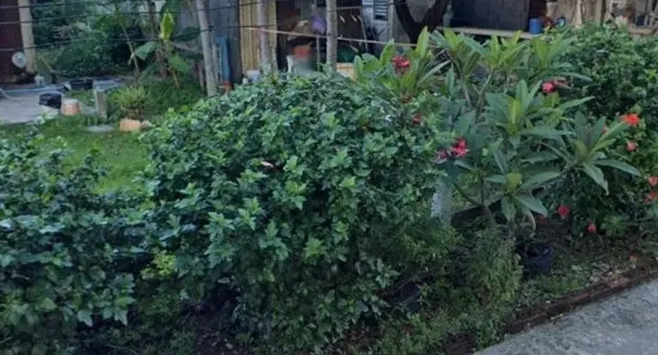 For sale land in Mueang Rayong, Rayong