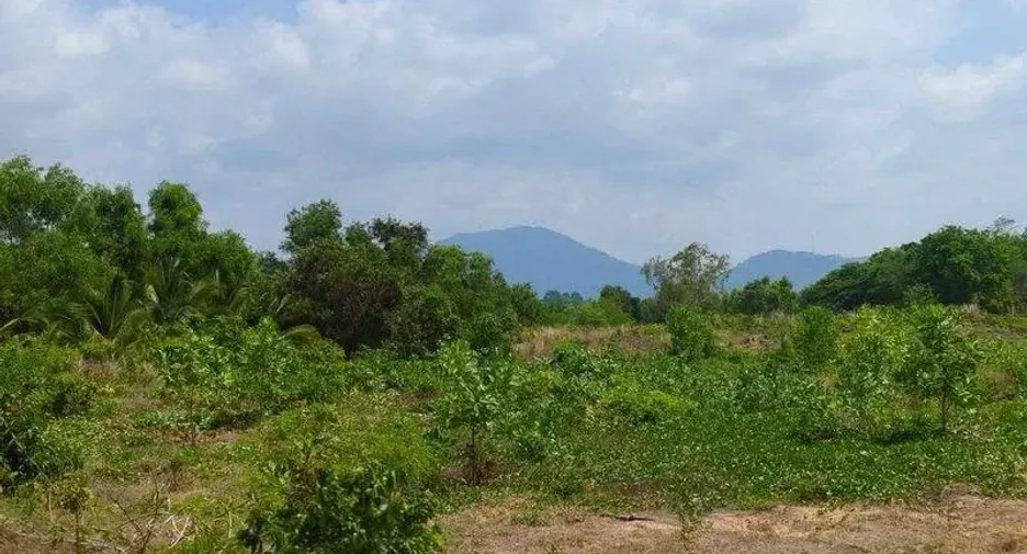 For sale land in Mueang Rayong, Rayong