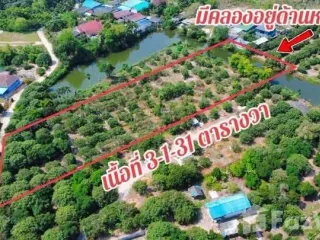 For sale land in Mueang Rayong, Rayong