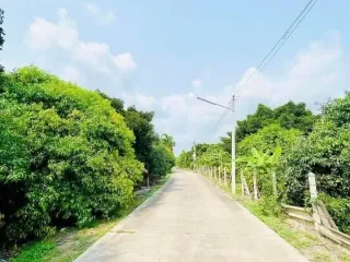 For sale land in Mueang Rayong, Rayong