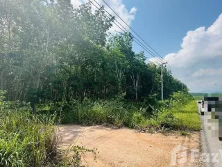 For sale land in Ban Khai, Rayong