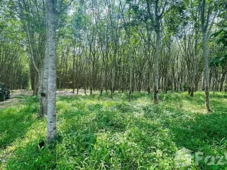 For sale land in Ban Khai, Rayong