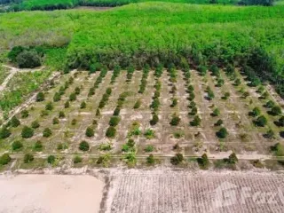 For sale land in Nikhom Phatthana, Rayong