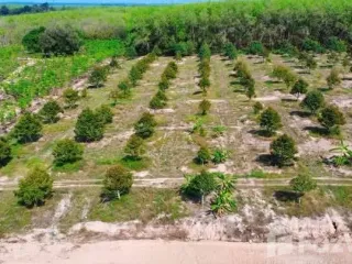 For sale land in Nikhom Phatthana, Rayong