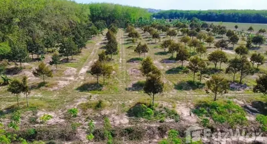 For sale land in Nikhom Phatthana, Rayong