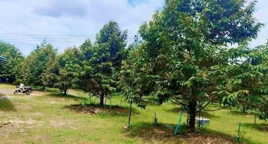 For sale land in Mueang Rayong, Rayong