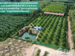 For sale land in Mueang Rayong, Rayong