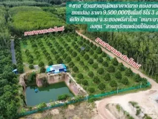 For sale land in Mueang Rayong, Rayong