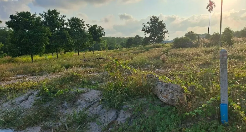 For sale land in Nikhom Phatthana, Rayong