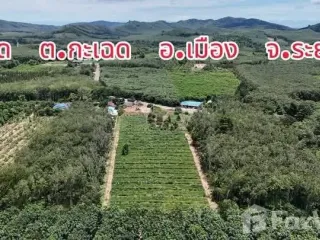 For sale land in Mueang Rayong, Rayong