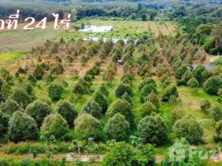 Продажа Участок в Клаенг, Районг
