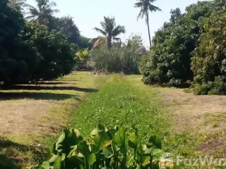 For sale land in Saraphi, Chiang Mai