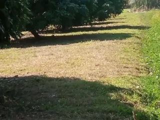 For sale land in Saraphi, Chiang Mai