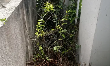 出售 3 卧室 别墅 在 华欣, 班武里府